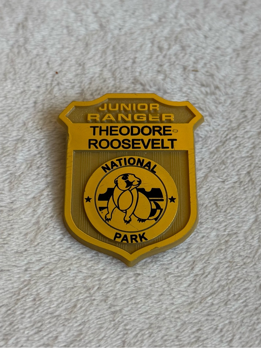 Junior Ranger Theodore Roosevelt National Park Yellow Badge Pin